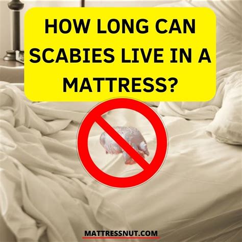 How Long Can Scabies Live In A Mattress Our Complete Investigation