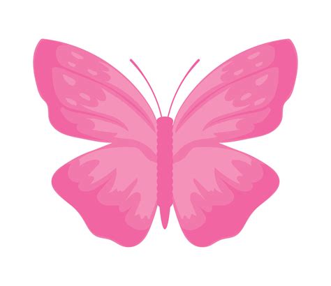 Mariposa Rosada Vectores Iconos Gráficos Y Fondos Para Descargar Gratis