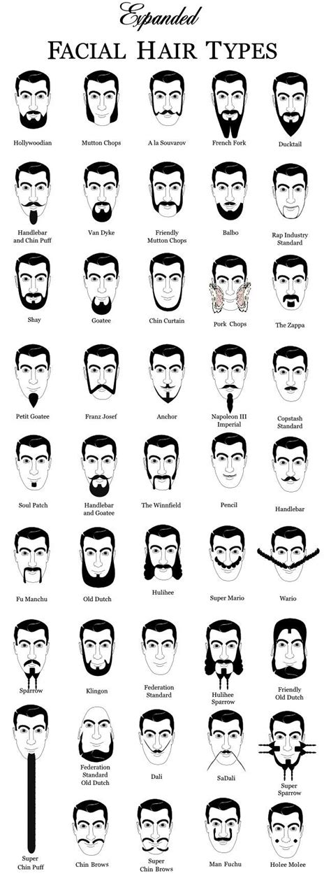 Types Of Beards Beard Styles Hair And Beard Styles