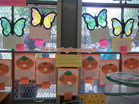 Tissue Paper Butterflies With Informative Writing And Life Cycle Sequence