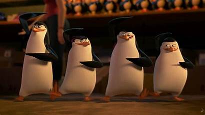 Madagascar Penguins Desktop Wallpapers Wars Clone Skipper