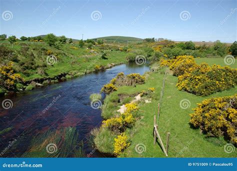 River In Ireland Royalty Free Stock Images Image 9751009