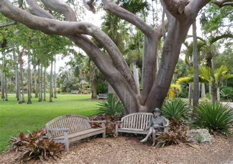Southeast Florida Garden Evolvement Fairchild Tropical