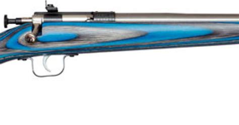 Crickett Rifle G2 22lr Ss Blue Laminate