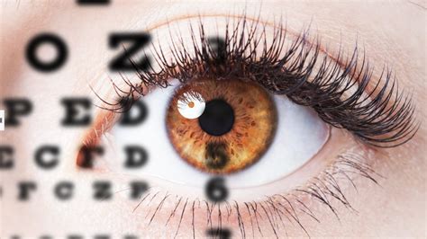 About Us Endo Eye Doctors Of Hawaii Optometrists In Honolulu Aiea