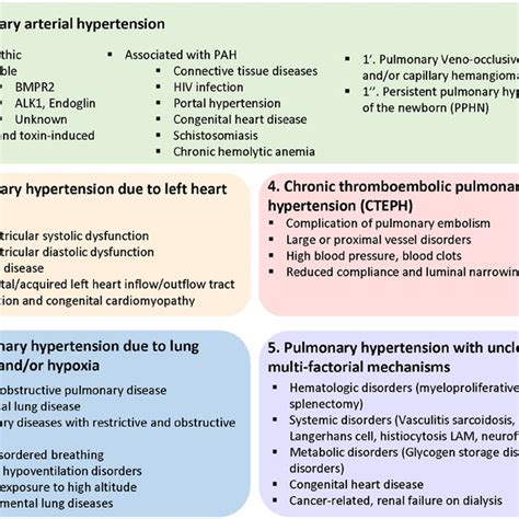 Updated Classification Of Pulmonary Hypertension The World Health