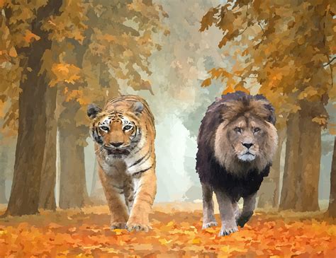 Download Park Lion Tiger Royalty Free Vector Graphic Pixabay