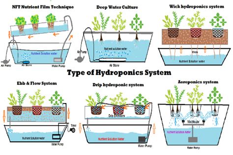 6 Type Of Diy Hydroponic Systems And Their Growing Media