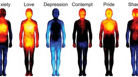 Look How Body Temperature Changes When Youre In Love Or Depressed