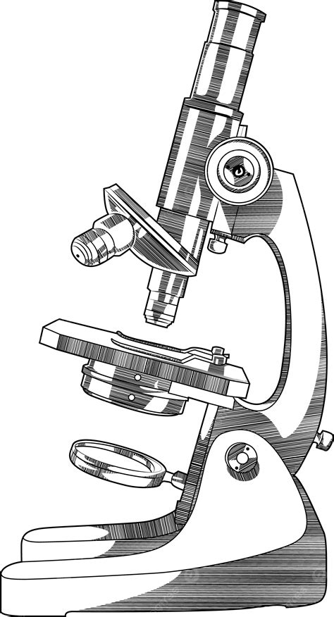 顕微鏡イラスト画像とpngフリー素材透過の無料ダウンロード Pngtree