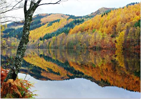 Loch Tummel Autumn Colours Fall Colors Colours Photo