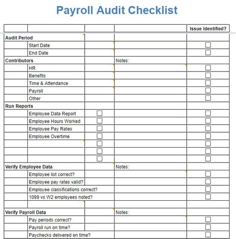 Payroll Audit Template