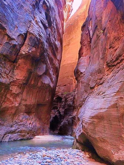 Hiking The Narrows In Zion National Park Complete Guide 2023