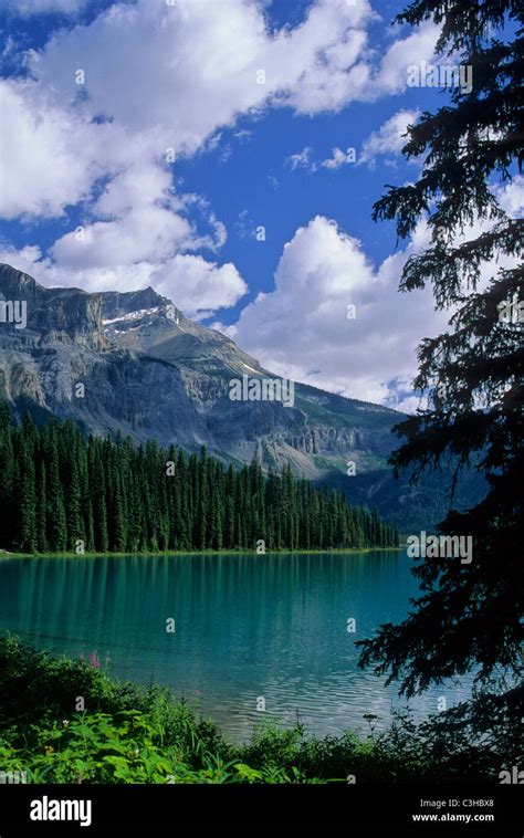 Emerald Lake Yoho National Park Canadian Rockies Stock Photo Alamy