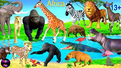 Animals lion leopard cheetah elephant giraffe zebra crocodile okapi
