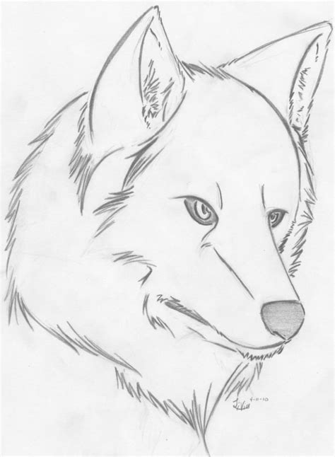 Easy Wolf Drawing At Getdrawings Free Download