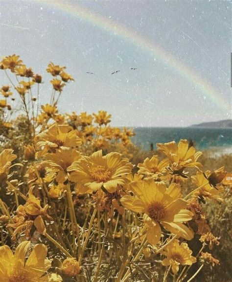 Check spelling or type a new query. Yellow Aesthetic in 2020 | Flowers photography wallpaper