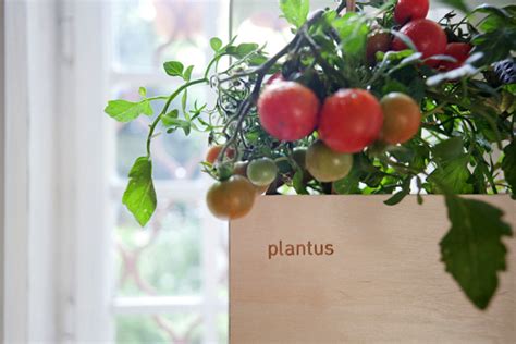 Plantus Please Modular Indoor Vertical Gardens