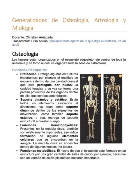 Generalidades De Osteología Artrología Y Miología Anatomía Salud