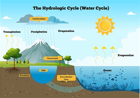 Explaining How The Water Cycle Supplies Us With A Continual Supply Of