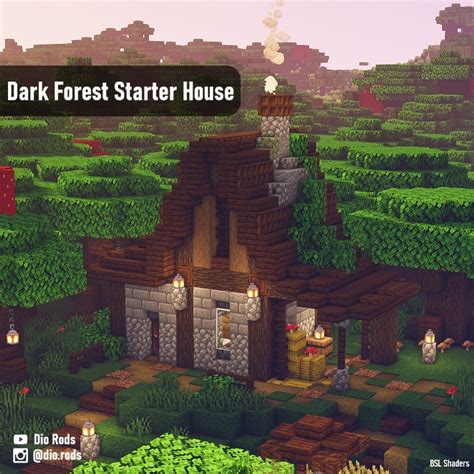 Dios Things Minecraft Survival Starter House Biome Dark