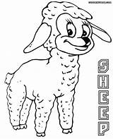 Sheep Coloring Cute sketch template