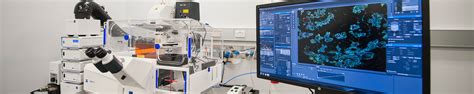 Zeiss Lsm 880 Fast Airyscan Confocal Centre For Dynamic Imaging
