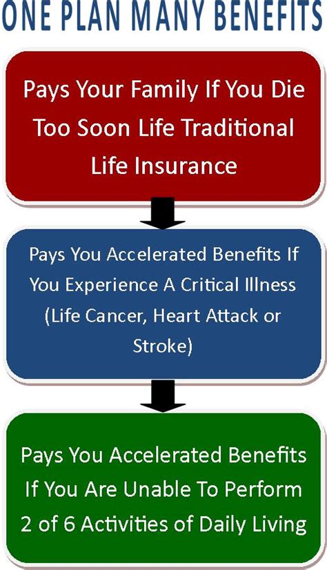 Life Insurance With Living Benefits Lifeguard Insurance Services
