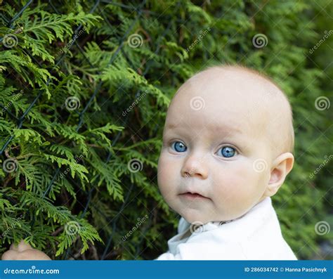 Face Of A Baby Girl 6 8 Months Old With Bright Blue Eyes Against The