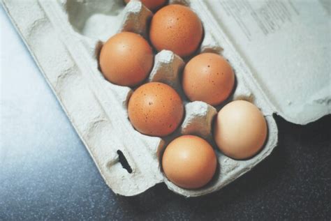 생산단계 농장 계란 살충제 집중검사 완료 모두 적합