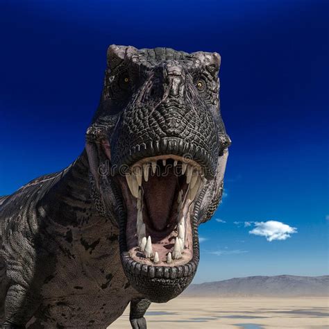 Tyrannosaurus Rex Profile Portrait On Desert Stock Illustration