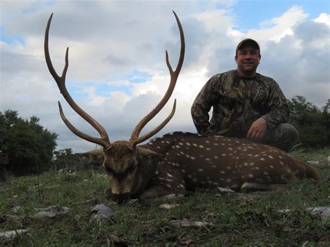 Exotic Hunting Ranch Big Hill Texas Brady Tx Hunting Outfitters And