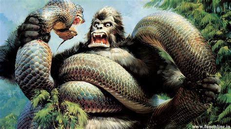 Free Download Anaconda Snake Big Hd Photos Only Hd Wallpapers 1600x900