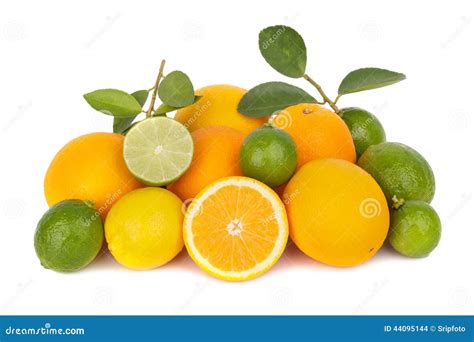 Mix Of Fresh Citrus Fruits Stock Photo Image Of Citrus 44095144