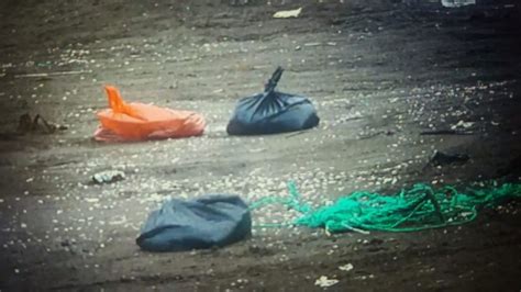 Sampah Berserakan Di Pantai Tanjung Pakis Bukti Lemahnya Pengawasan