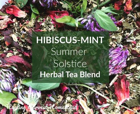Refreshing Hibiscus Mint Herbal Tea Recipe — All Posts Healing Harvest