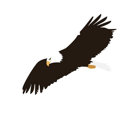 Soaring Eagle Png Image Png Mart