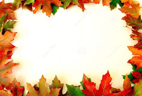 Fall Leaves Border Free Clip Art Autumn Leaves On White Background On