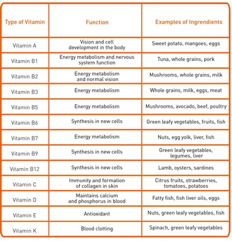 Types Of Nutrients And Their Functions