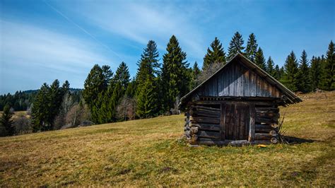 Old Wood Cabin ~ Easy Schwartz