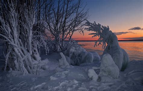 Wallpaper Winter Snow Trees Sunset Lake Canada