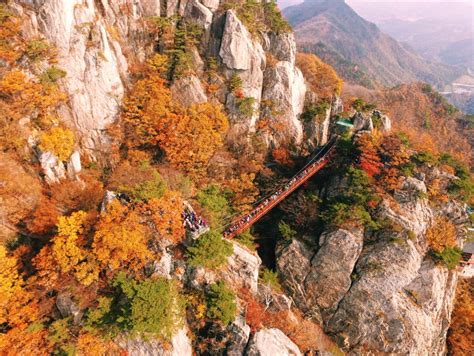 Οι πιο εντυπωσιακές γέφυρες του κόσμου elenifourli