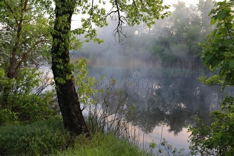 Morning Mist Over Lake Stock Image Image Of Pond Outdoors 191912157