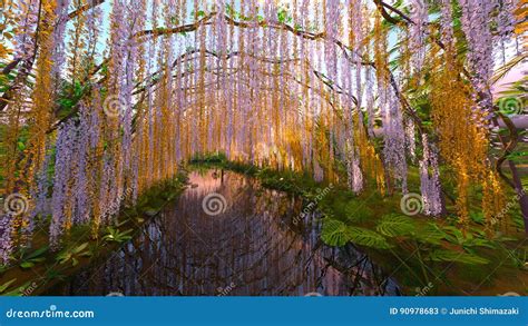 Garden Of A Wisteria Trellis And The Pond Stock Image Image Of Pond