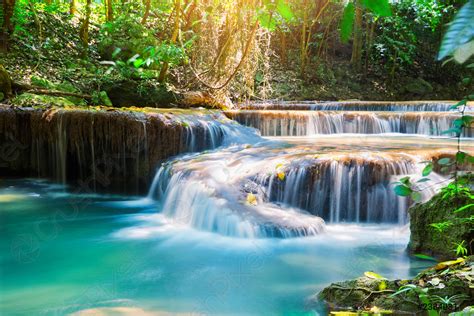 Waterfall In Deep Rain Forest Jungle Stock Photo Crushpixel