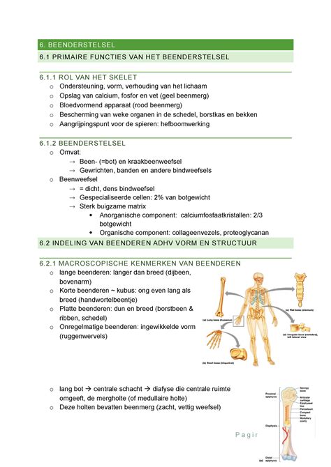 Samenvatting Botten H6 6 Beenderstelsel 6 Primaire Functies Van Het