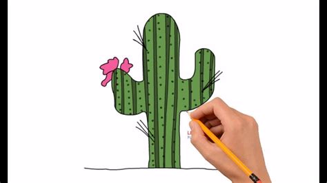 How To Draw A Cactus Step By Step Easy For Kids Youtube
