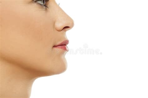 Nose Lips And Cheeks Stock Photo Image Of Nose Mouth 104053058