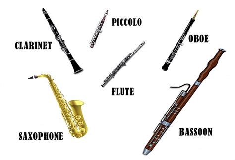 Name The Western Musical Instruments With Photographs