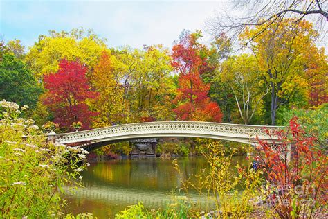 Bow Bridge Central Park In Autumn Photograph By Regina Geoghan